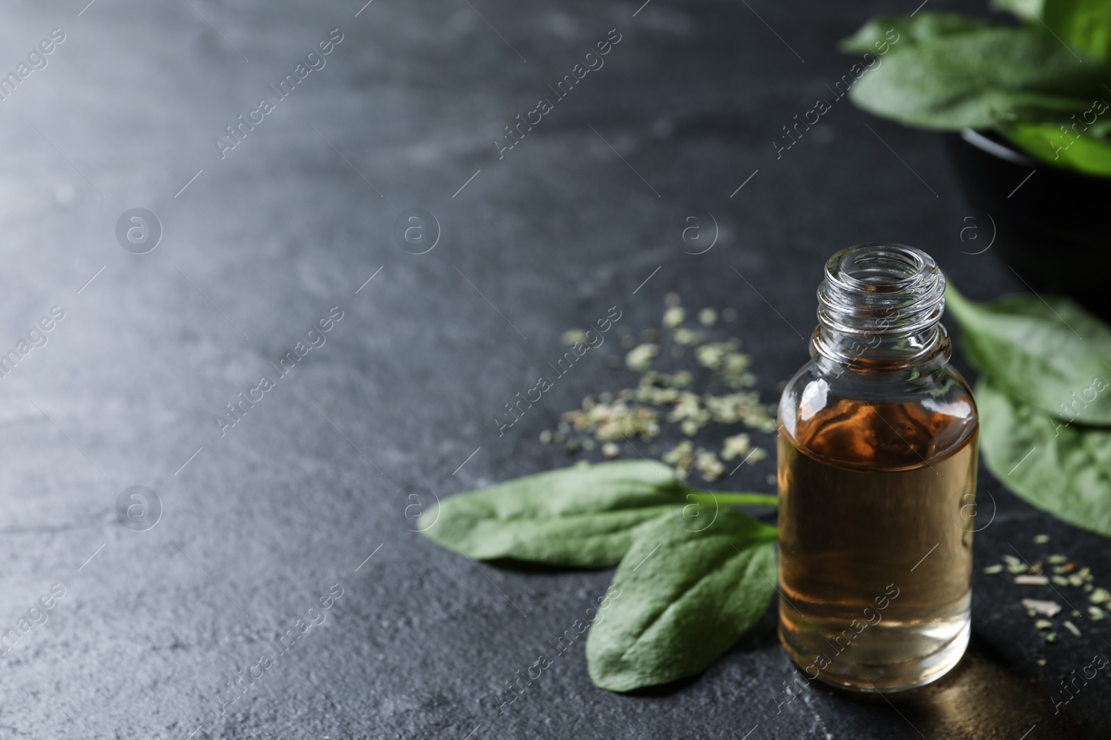 Photo of Essential oil of broadleaf plantain on black slate table. Space for text