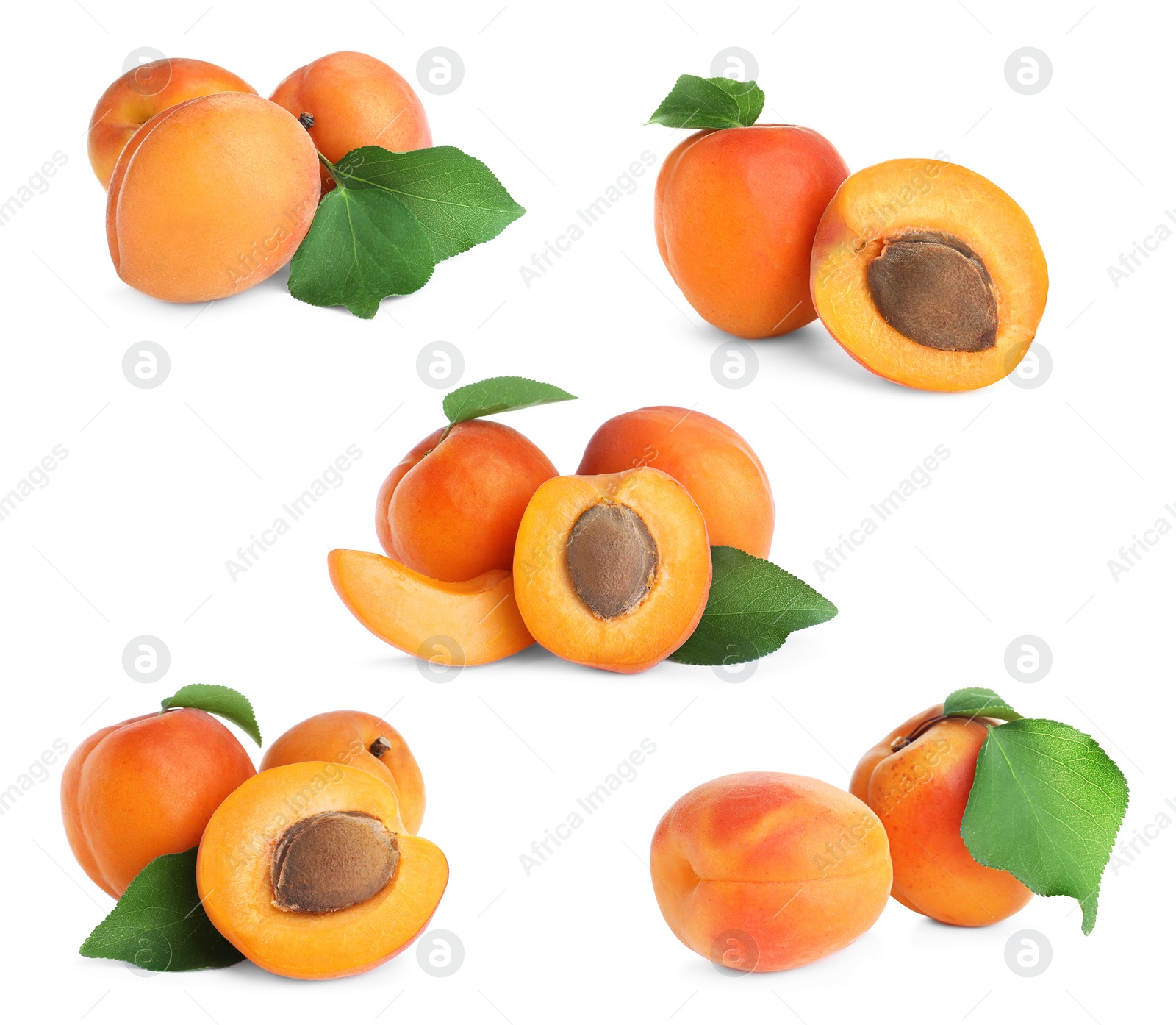 Image of Set of fresh apricots on white background