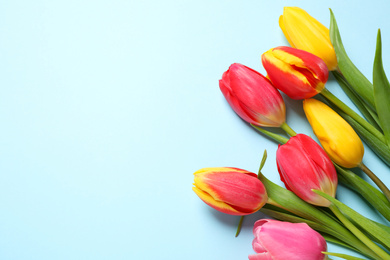 Photo of Beautiful spring tulips on light blue background, flat lay. Space for text