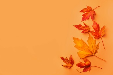 Image of Dry autumn leaves on light orange background, flat lay. Space for text