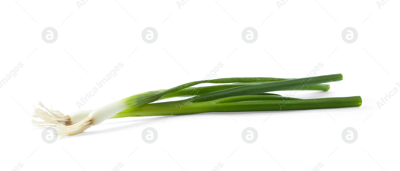 Photo of Fresh green spring onions on white background