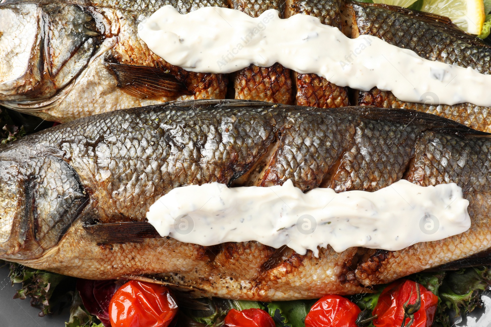 Photo of Delicious baked sea bass fish with sauce on plate, closeup