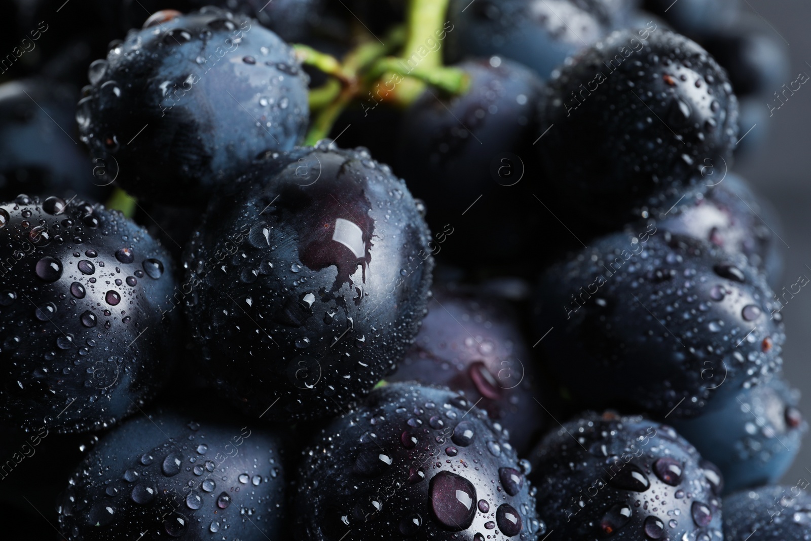 Photo of Bunch of fresh ripe juicy grapes as background. Closeup view