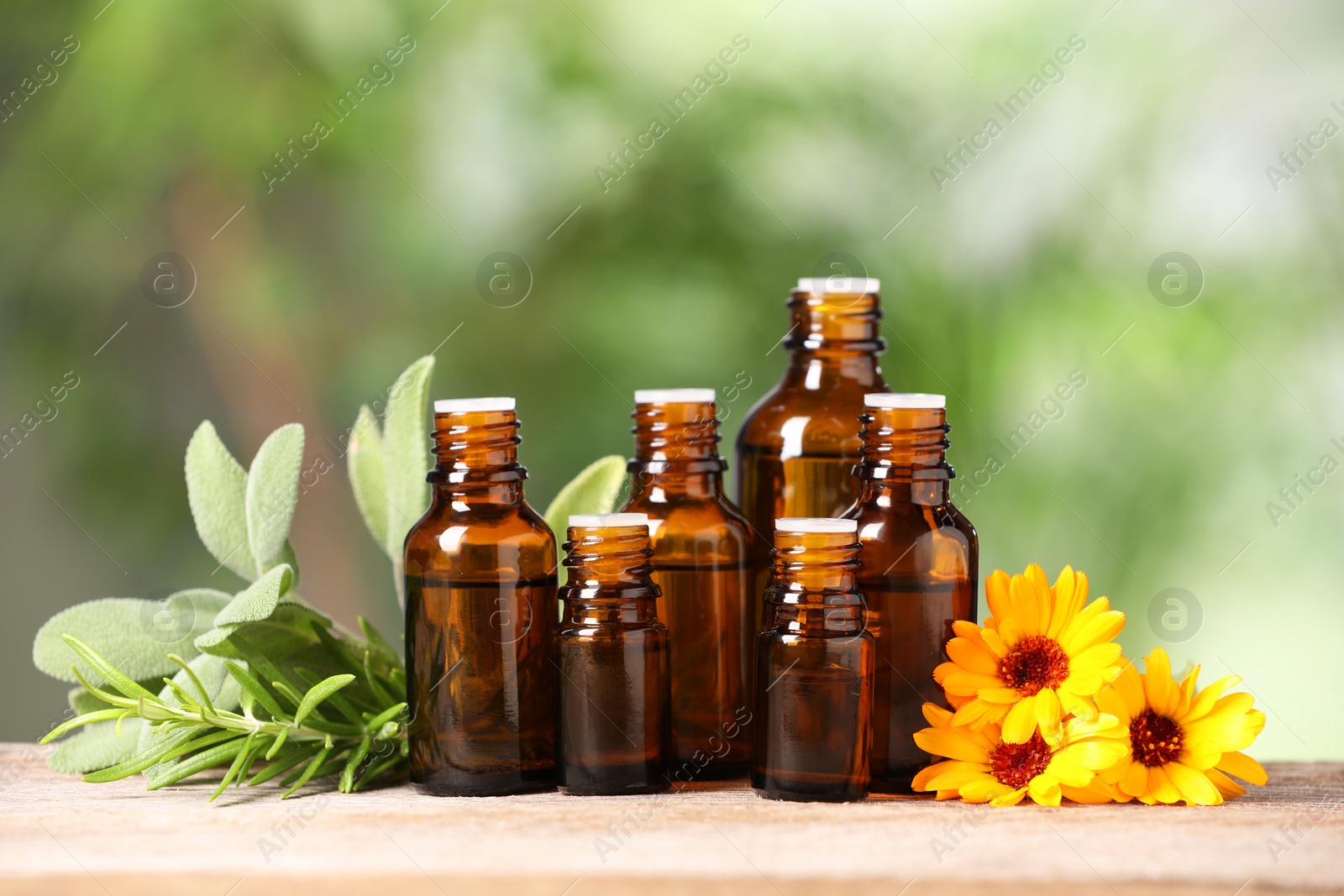 Photo of Bottles with essential oils, herbs and flowers on wooden table against blurred green background