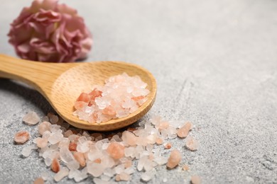 Photo of Wooden spoon with natural sea salt and beautiful flower on light grey table, closeup. Space for text