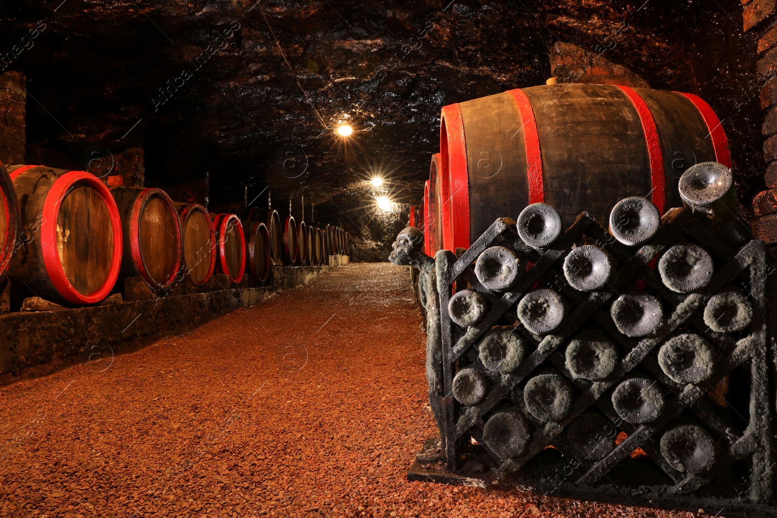 Photo of Bene, Ukraine - June 23, 2023: Many wooden barrels and bottles with alcohol drinks in cellar