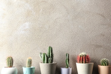 Different potted cacti near color wall, space for text. Interior decor