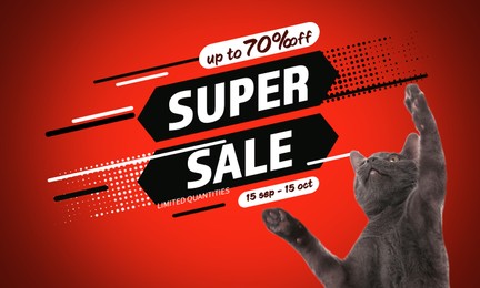 Advertising poster Pet Shop SALE. Cute cat and discount offer on red background