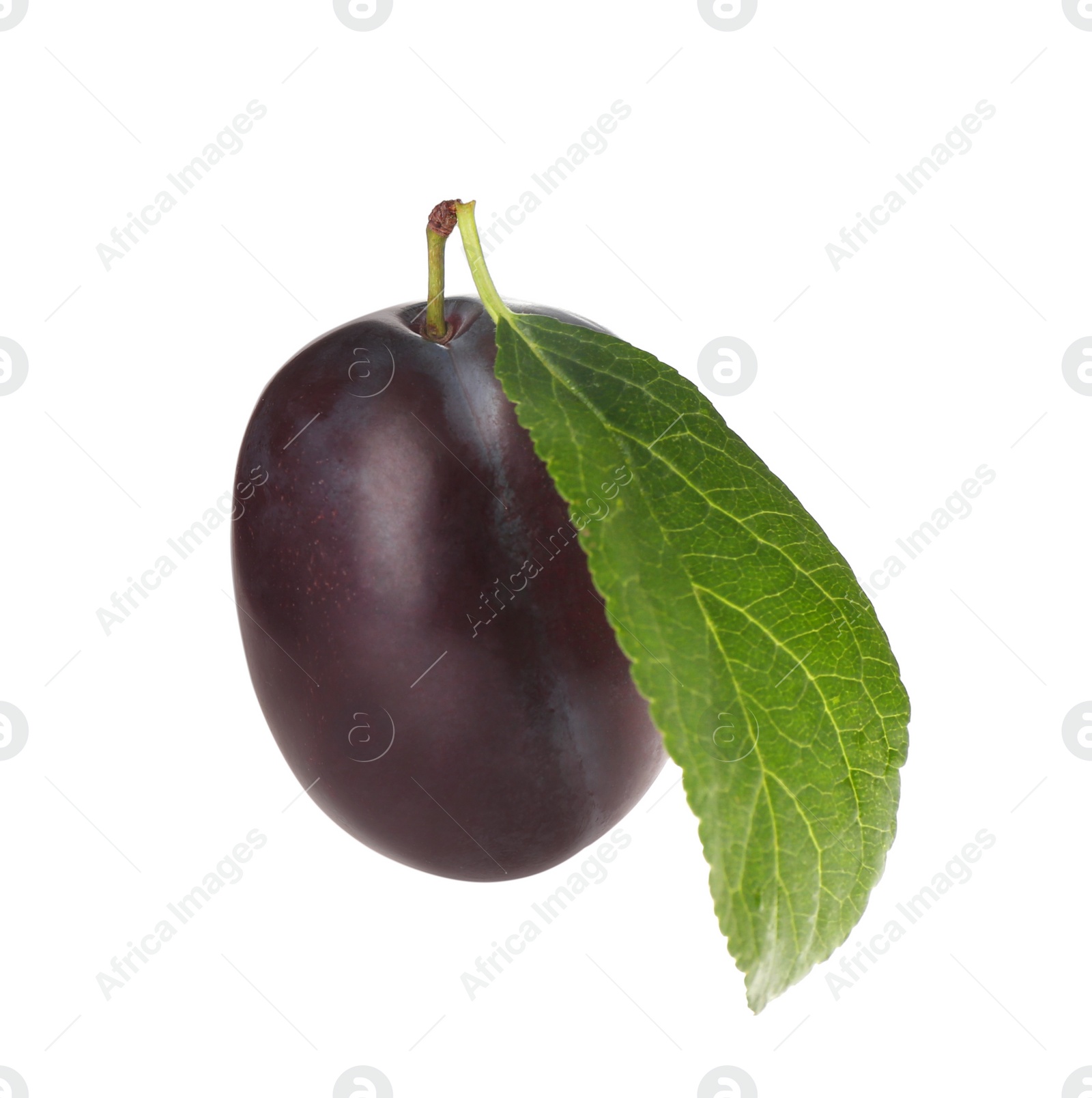 Photo of Delicious ripe plum with leaf isolated on white