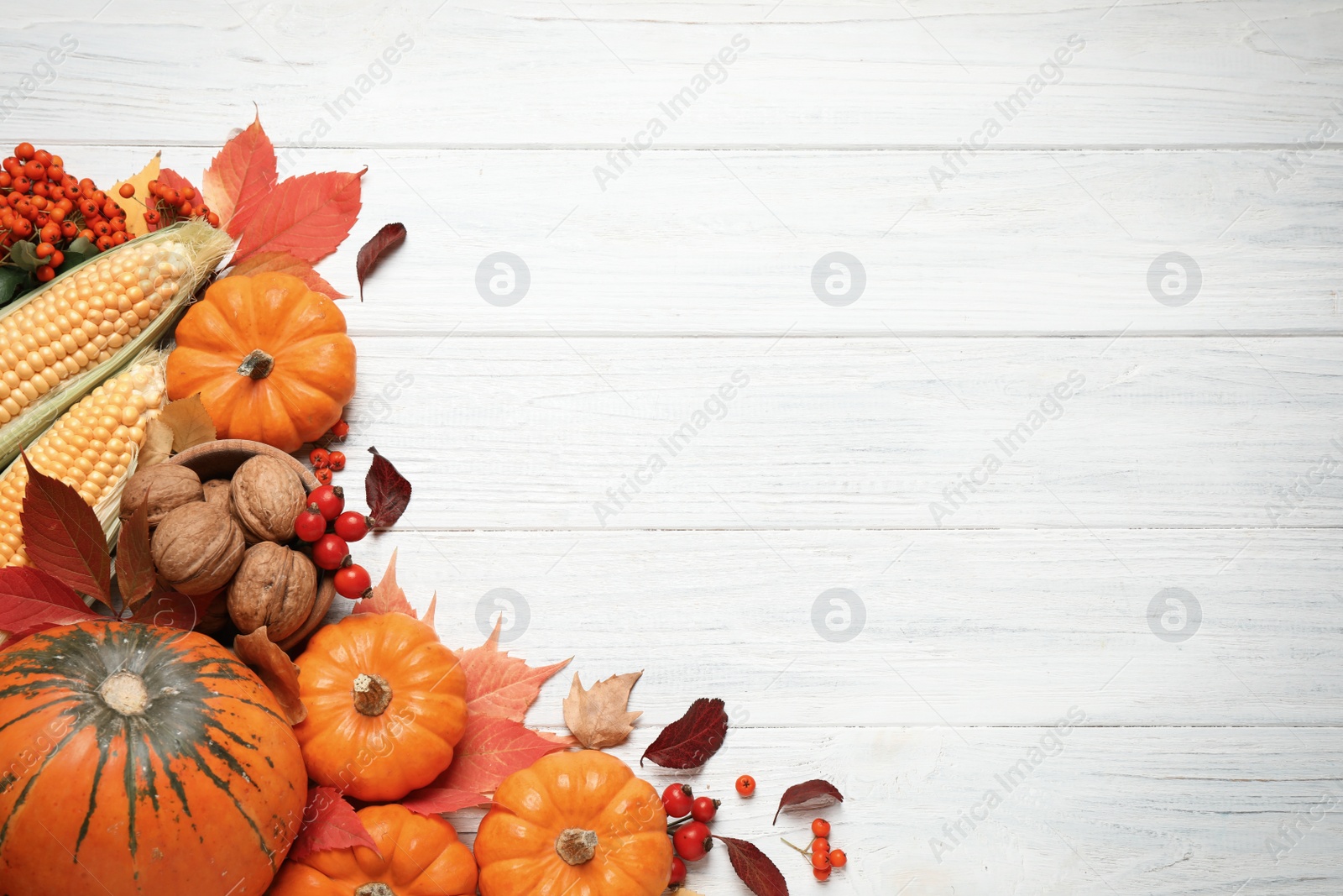 Photo of Flat lay composition with vegetables, berries and autumn leaves on white wooden table, space for text. Thanksgiving Day