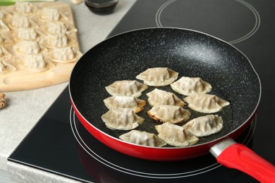 Cooking gyoza on frying pan with hot oil in kitchen