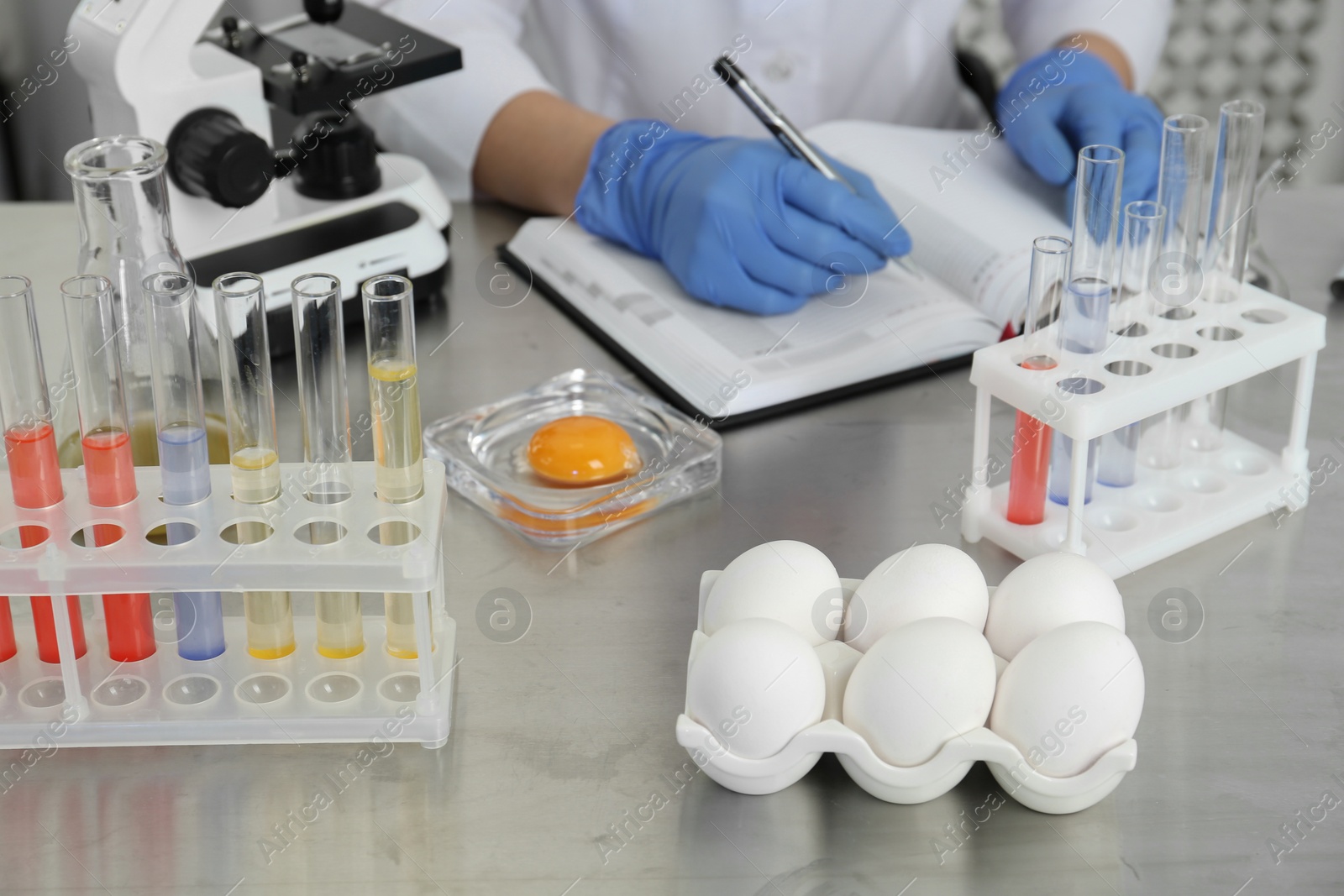 Photo of Scientist proceeding quality control in laboratory, focus on fresh eggs