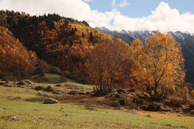 Photo of Picturesque view of mountain landscape with forest and meadow under cloudy sky