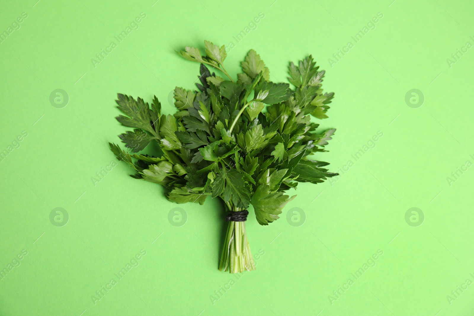 Photo of Bunch of fresh green parsley on color background, view from above