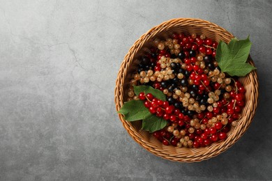 Different fresh ripe currants and green leaves in wicker basket on light grey table, top view. Space for text