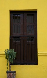 Photo of Yellow building with wooden window and potted plant outdoors