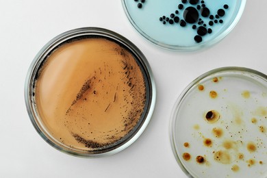 Photo of Petri dishes with different bacteria colonies on white table, flat lay