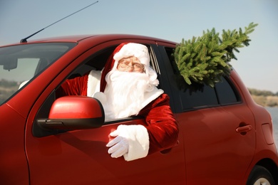 Authentic Santa Claus driving modern car with fir tree near river