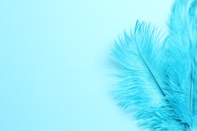 Photo of Beautiful delicate feathers on light blue background, top view. Space for text