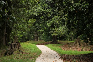 Picturesque view of tranquil park with paved pathway