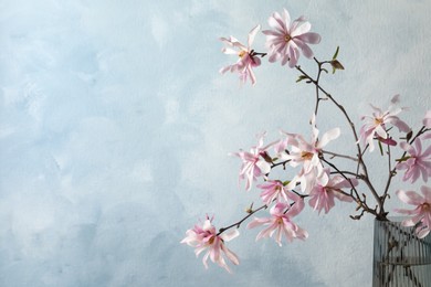 Photo of Magnolia tree branches with beautiful flowers in glass vase on light blue background, closeup. Space for text