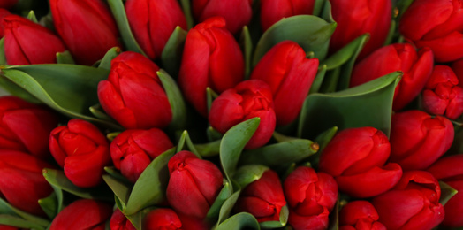Image of Beautiful bouquet of tulips as background. Horizontal banner design
