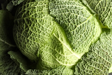Photo of Fresh green savoy cabbage as background, closeup