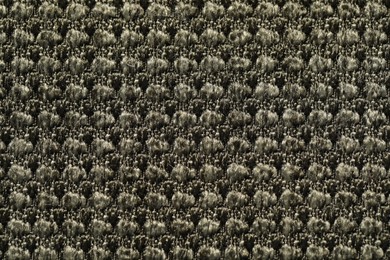 Photo of Texture of dark fabric as background, top view