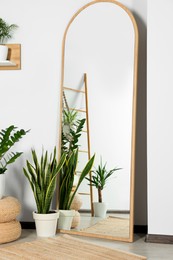 Photo of Stylish full length mirror and houseplants near white wall in room