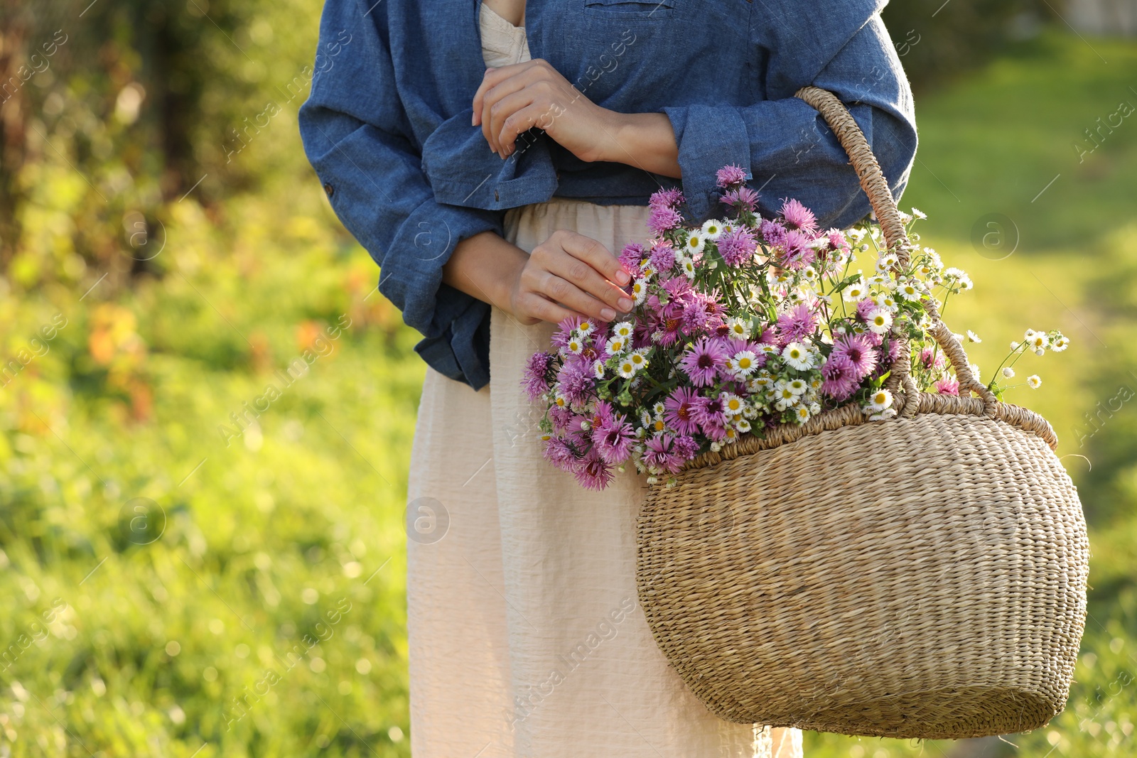 Photo of Woman holding wicker basket with beautiful wild flowers outdoors, closeup