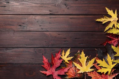 Photo of Dry autumn leaves of Japanese maple tree on brown wooden background, flat lay. Space for text