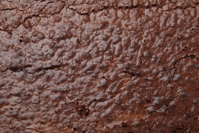 Photo of Closeup of delicious chocolate brownie as background, top view