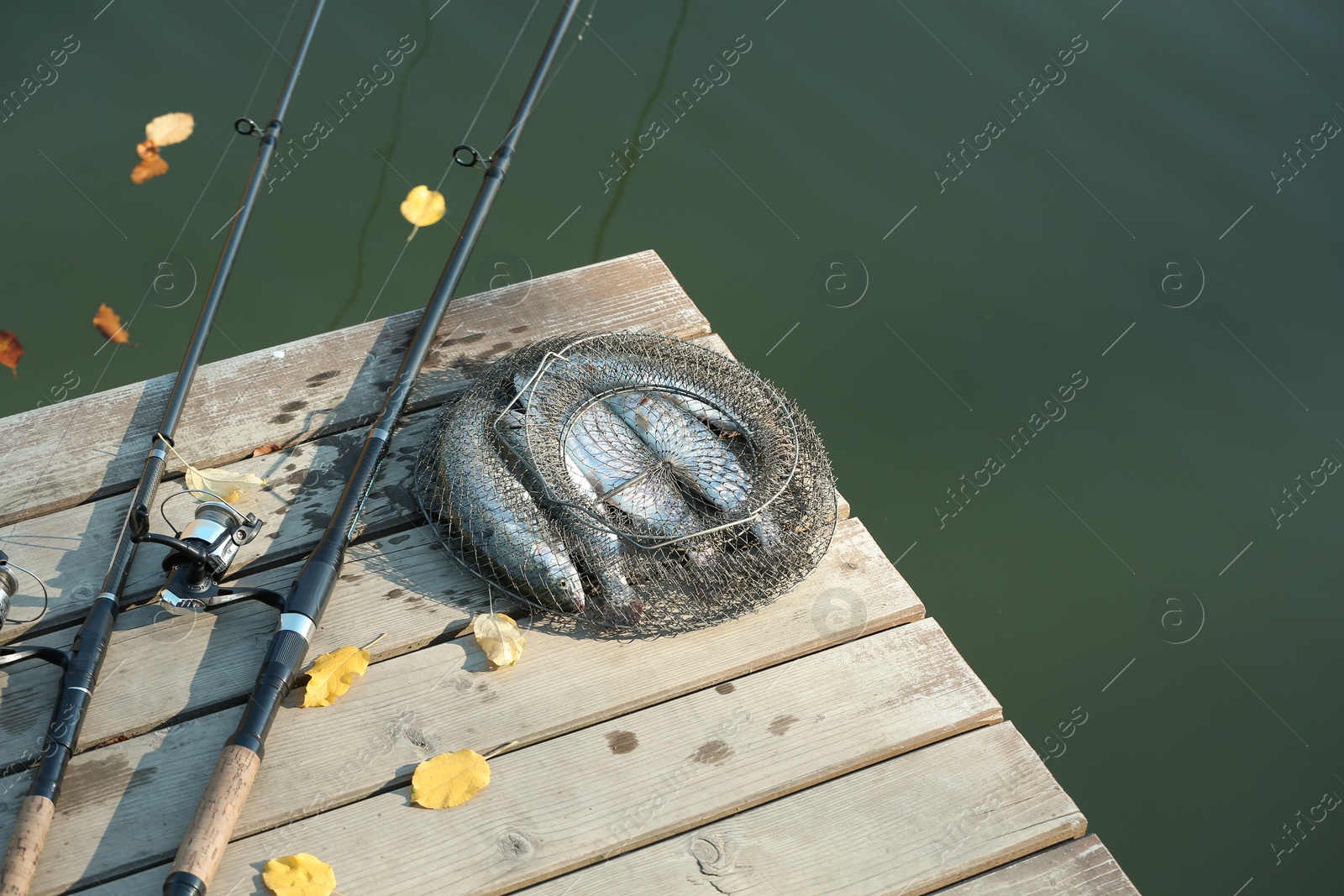 Photo of Fishing rods and fresh fish on wooden pier near pond. Space for text