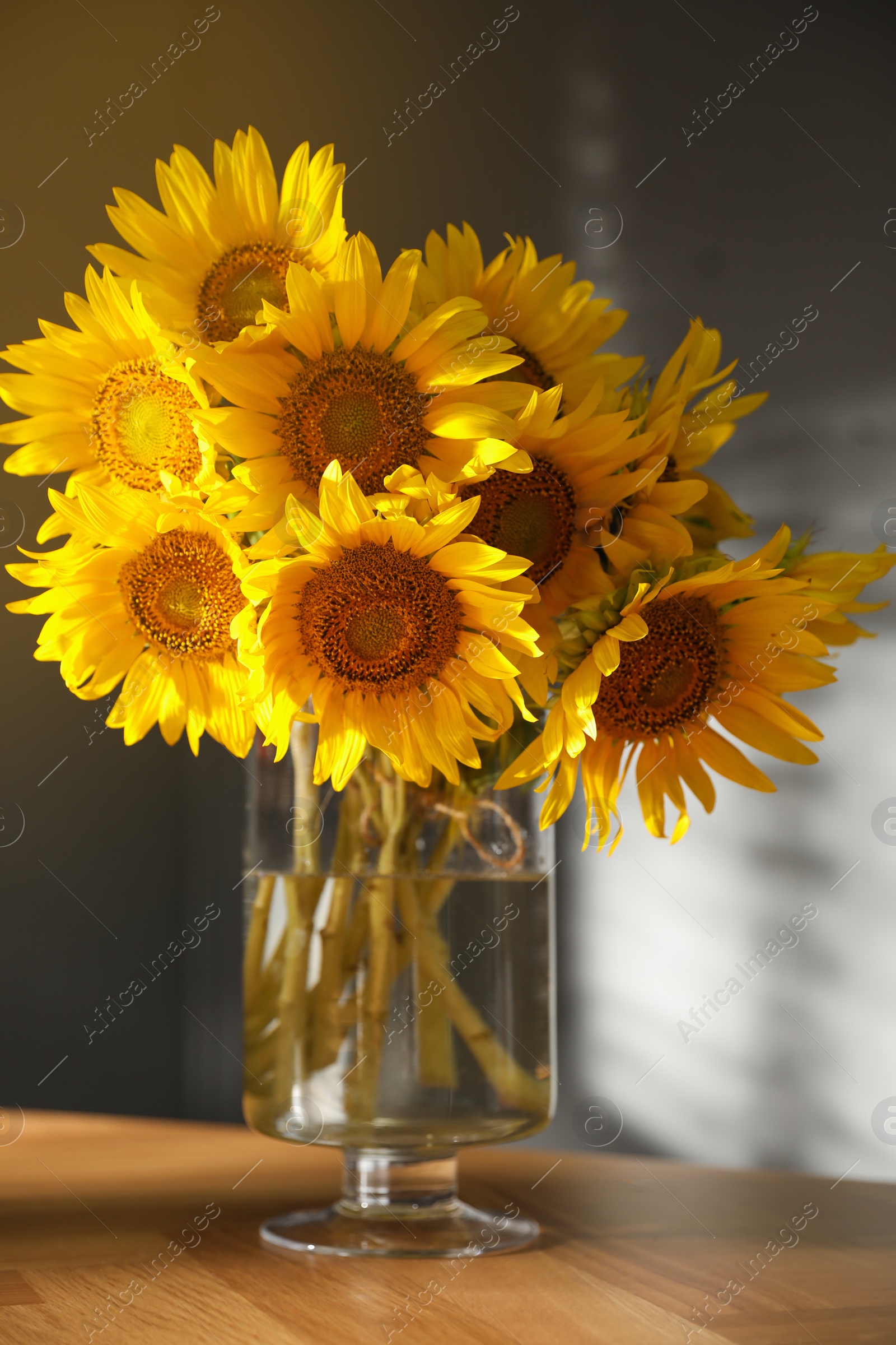 Photo of Bouquet of beautiful sunflowers in vase on table indoors