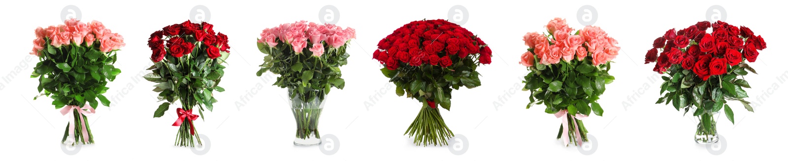 Image of Set with beautiful rose flowers on white background. Banner design