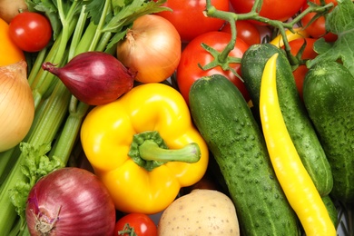 Many fresh ripe vegetables as background. Organic food