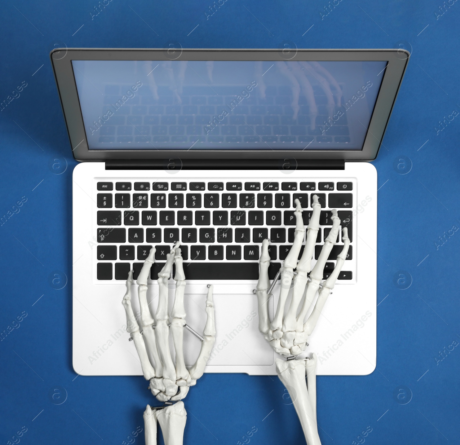 Photo of Human skeleton using laptop on blue background, top view