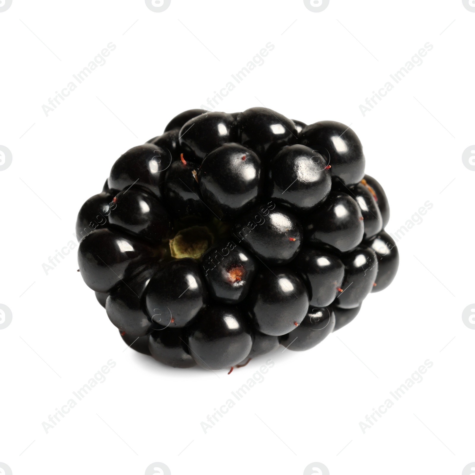 Photo of One tasty ripe blackberry isolated on white