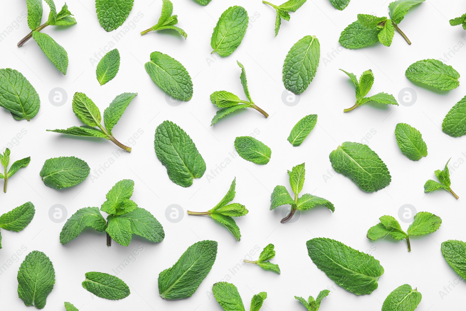 Photo of Fresh green mint leaves on white background, top view