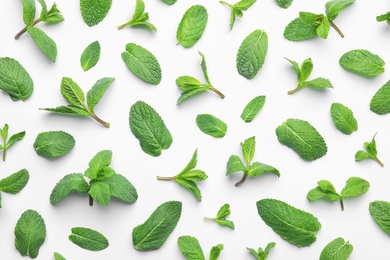 Fresh green mint leaves on white background, top view