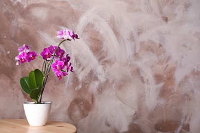 Photo of Flowerpot with blooming orchid on wooden table against brown background, space for text