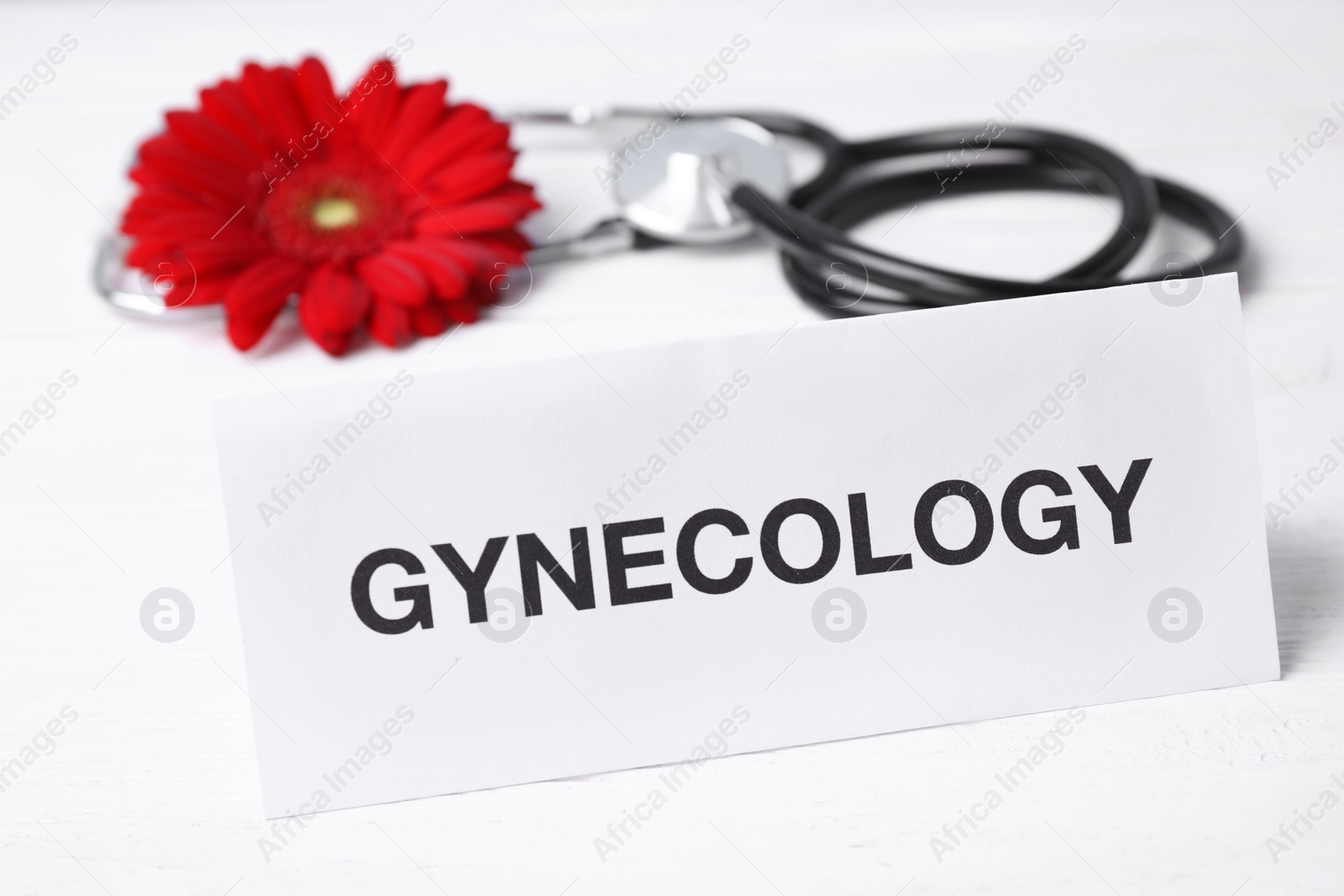 Photo of Card with word Gynecology, flower and stethoscope on white background, closeup