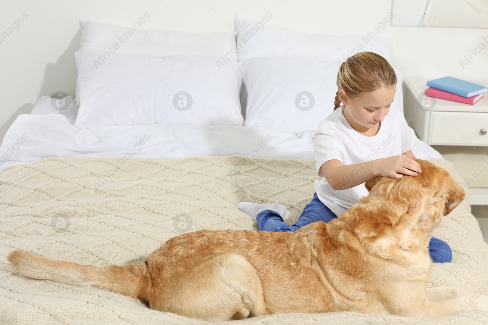 Photo of Cute child with her Labrador Retriever on bed at home. Adorable pet