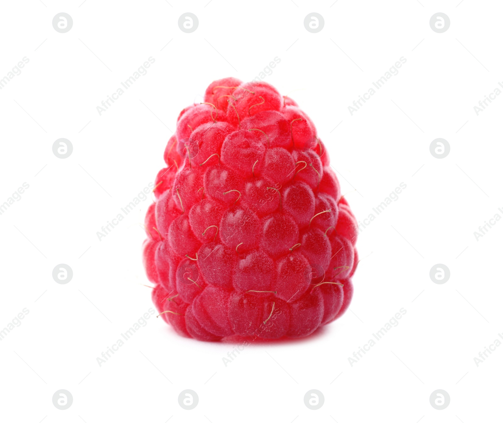 Photo of Delicious fresh ripe raspberry on white background