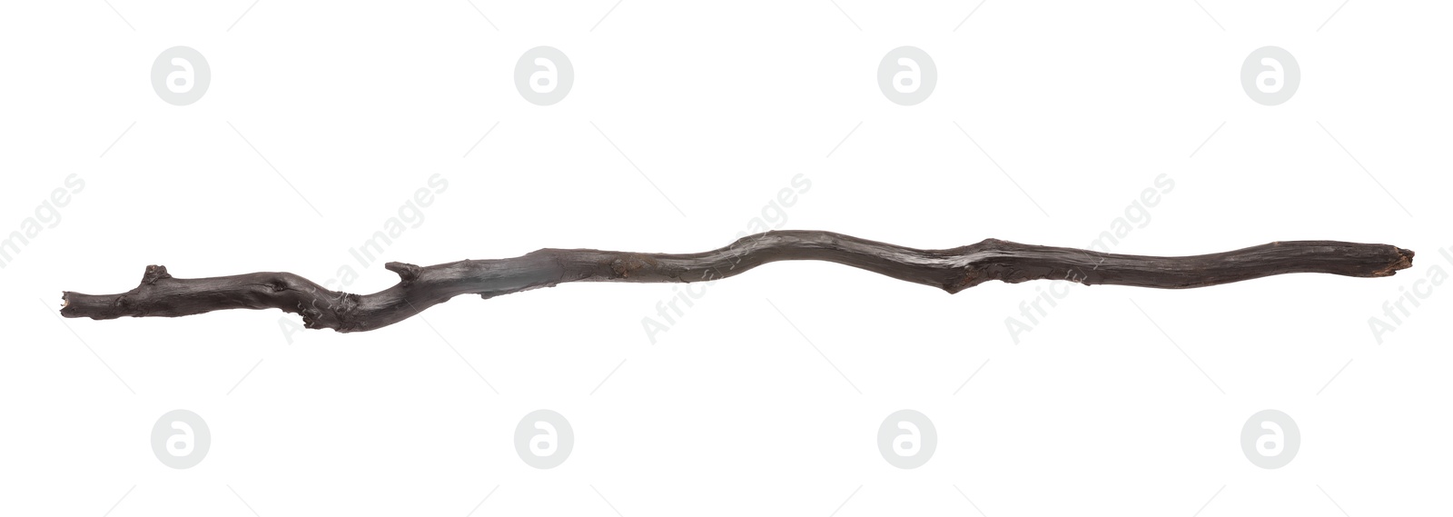 Photo of One old wooden stick isolated on white