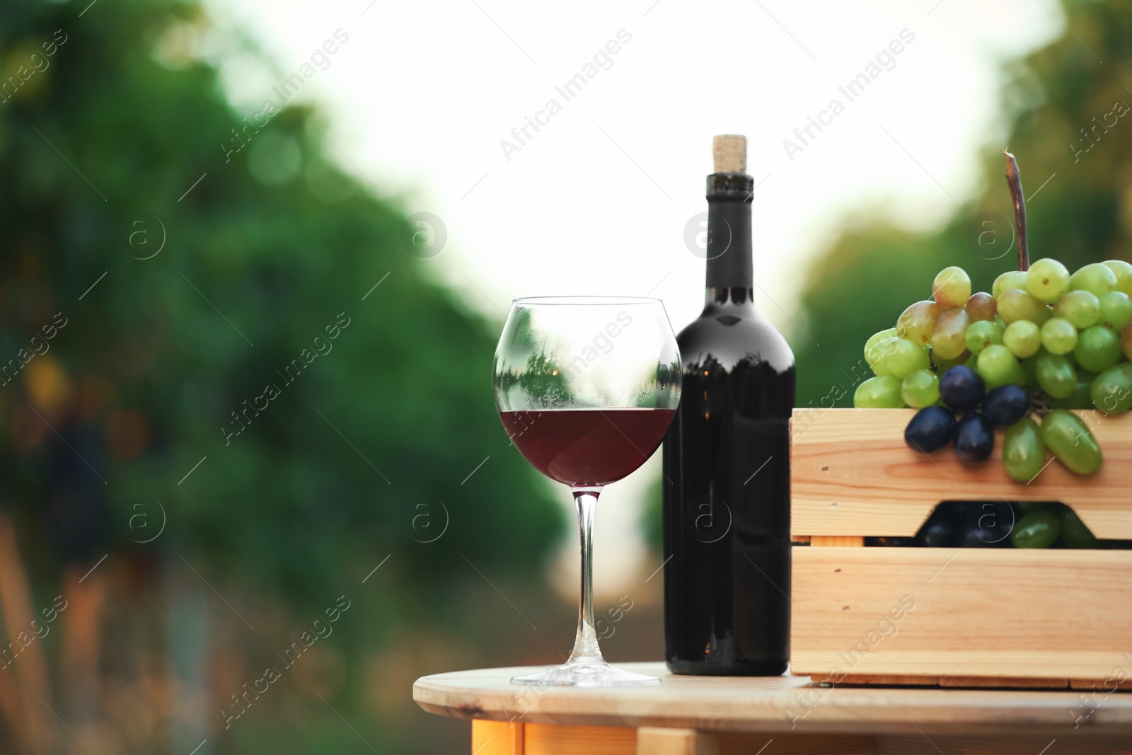 Photo of Bottle and glass of red wine with fresh grapes on wooden table in vineyard