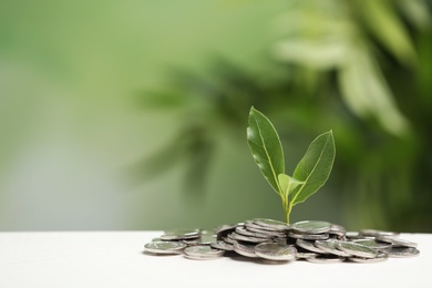 Photo of Pile of coins and young green plant on white table against blurred background, space for text