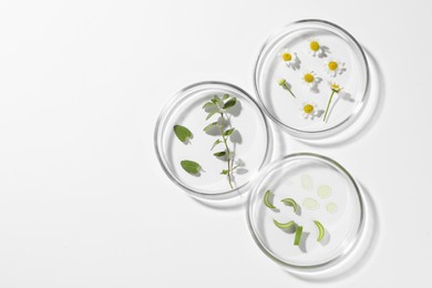 Photo of Petri dishes with different plants on white background, top view. Space for text