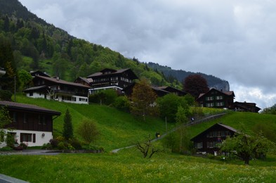 Picturesque view of village and forest in high mountains