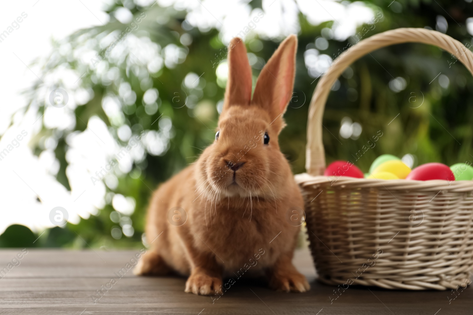 Photo of Cute bunny and basket with Easter eggs on table against blurred background